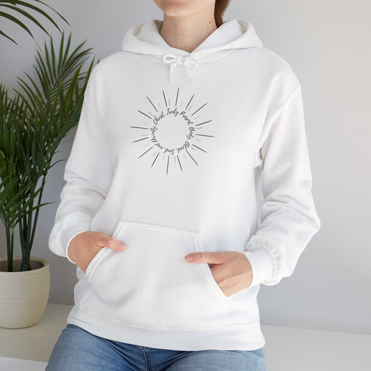 Catholic Holy Eucharist Sweatshirt, Christ Truly Present, Religious Unisex Hoodie, Spiritual Circle Design, Body Blood Soul Divinity,