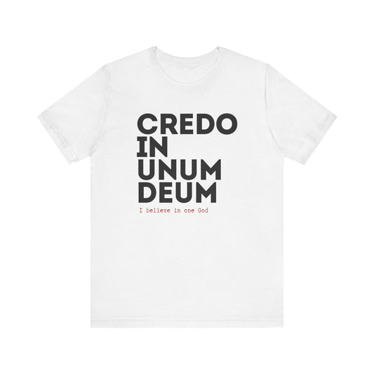 Catholic Latin Creed Tee,  Catholic Catechist Gift, Creed, Religious Tee Shirt, Unisex Tee Shirt, Believe One God